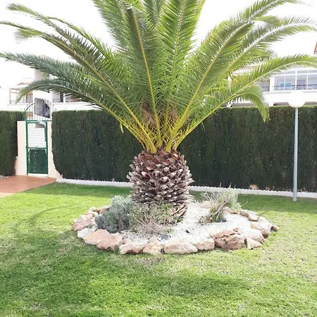 Spanische Bungalow In Kurort Apartamento Orihuela